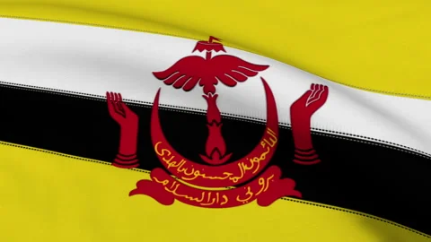 Brunei Flag Loop Stock Footage 241218484