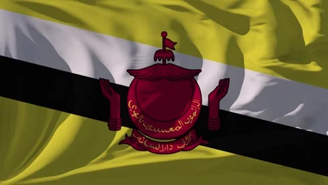 Brunei Flag Loop Stock Footage 295719733