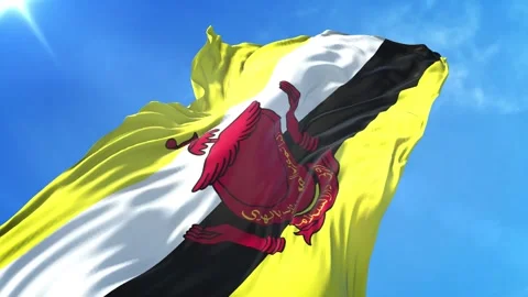 Brunei Flag Low Angle View Stock Footage 295686390