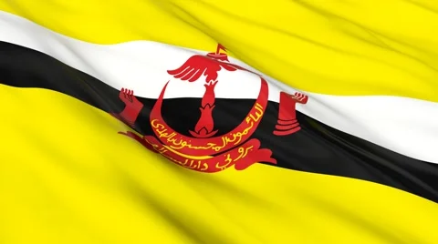 Brunei flag Seamless Vídeo Stock 49085971