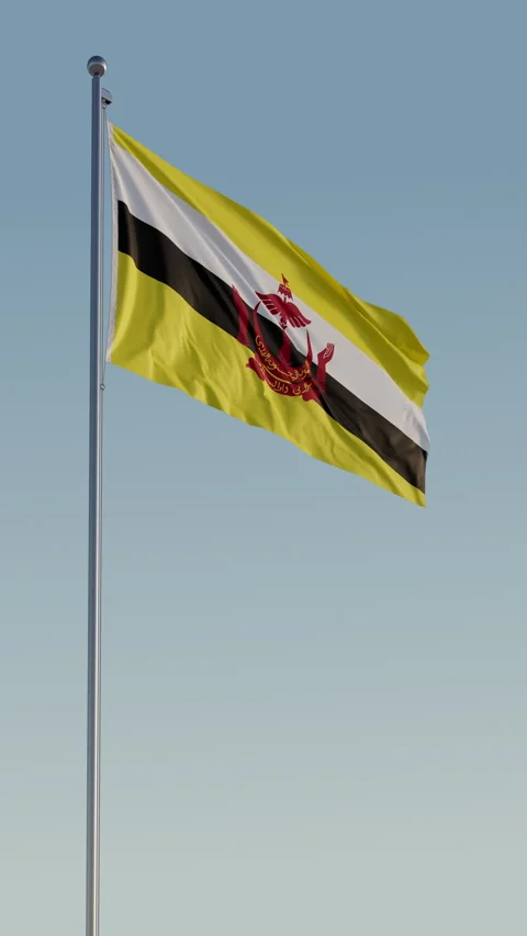 Brunei Flag Seamless Loop Cinematic Realistic Waving Blue Sky 스톡 동영상 317499205