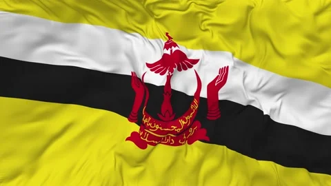 Brunei Flag Seamless Looping Background Waving Slow Motion Stock Footage 234034481