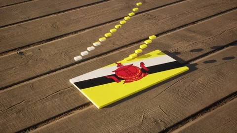 Brunei Flag - Slow Motion Stock Footage 318717872