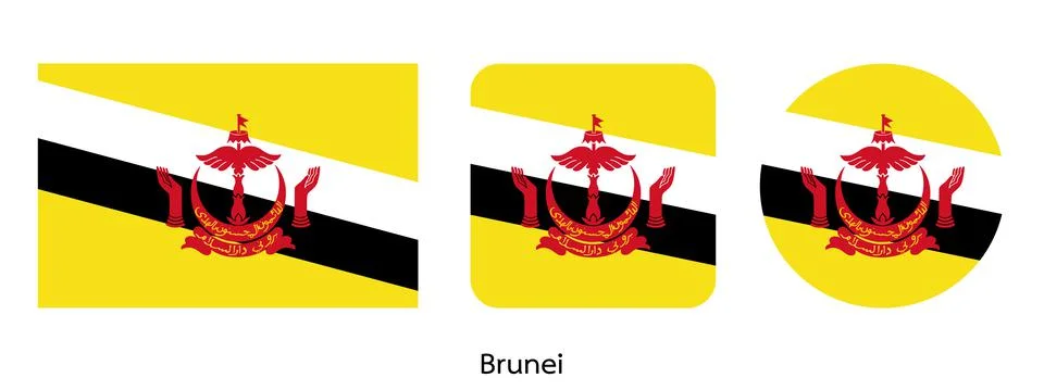 Brunei flag, vector illustration Illustrazione stock