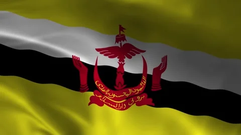 Brunei flag waving with crest fabric texture background 库存影片 335560500
