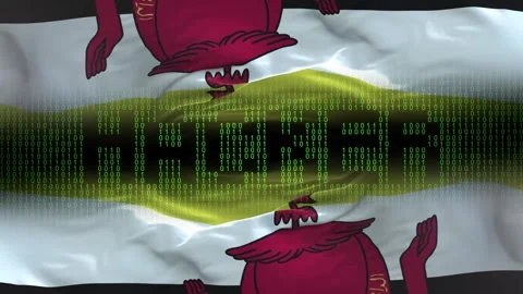 Brunei flag - Waving flag on matrix binary code background Stock Footage 321419717