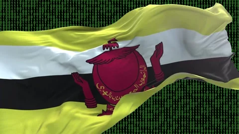 Brunei flag - Waving flag on matrix binary code background Stock Footage 321420947