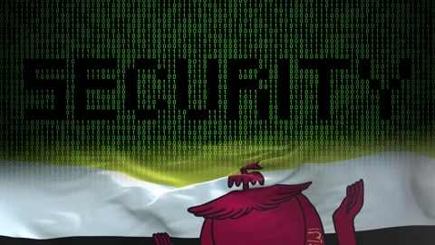 Brunei flag - Waving flag on matrix binary code background Stock Footage 321422150