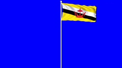 Brunei Flag Waving Fluttering on Wind Loopable Green Blue Screen Matte Stock-Footage 77582628
