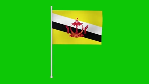 Brunei flag waving gently on a pole against a bright green screen background Stockbeeldmateriaal 317543284