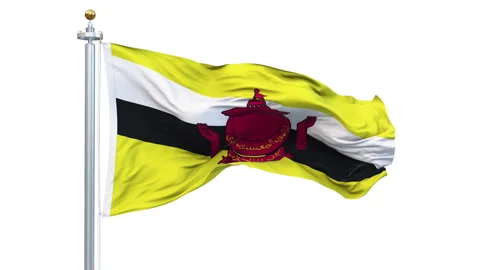 Brunei flag waving looping with transparent background. Vidéo 311095340