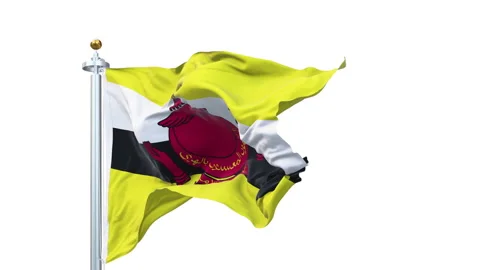 Brunei flag waving looping with transparent background. Video stock 311095345