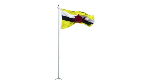 Brunei flag waving looping with transparent background. Video stock 311095468