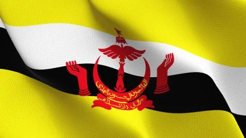 Brunei flag waving on wind. Stock Illustration