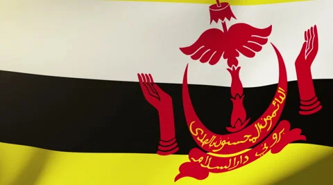 Brunei flag waving in the wind. Looping sun rises style.  Animation loop Stock Footage 48957428