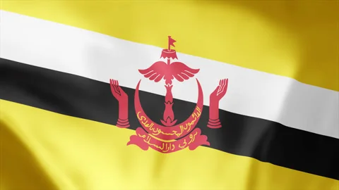 Brunei Flag Waving in Wind Seamless Loop Animation 4k Stock Footage 255721728