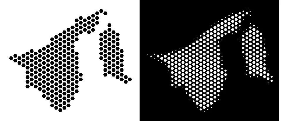 Brunei Map Hex Tile Mosaic イラスト素材