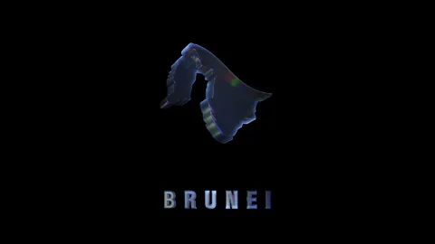 Brunei map rotating on black background Stock Footage 313930386