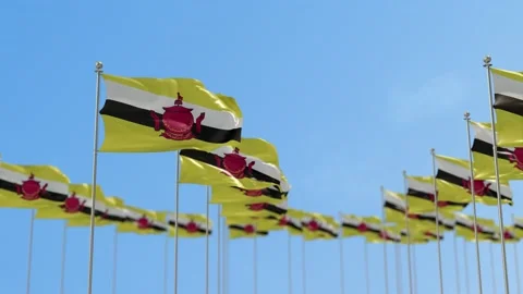 Brunei Row Of Flags 3D Animation Video stock 148636615