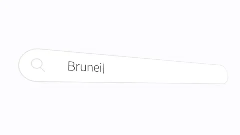 Brunei In Search Box - Computer Browsing Stock Footage 313873427
