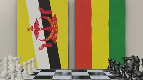 Brunei vs Bolivia  at the chessboard. Stock Footage 257964688
