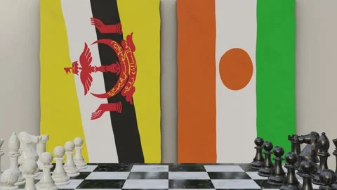 Brunei vs Niger  at the chessboard. Stock Footage 257965007