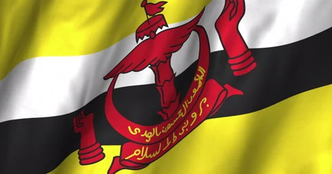 Brunei Waving Flag-4K Stock Footage 47892624