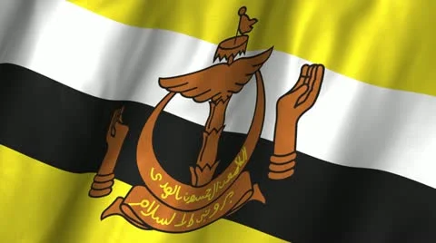Brunei Waving Flag Stock Footage 12245491