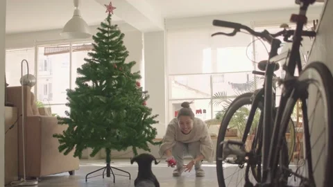 Brunette lady decorating a fur tree for the festive season and calling the dog Stock Footage 145224989