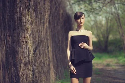Brunette model posing in short black dress Stock Photos