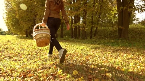 Brunette woman walking through autumn forest holding a picnic basket. Warm sunny Stock Footage