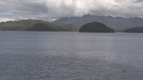 Brush covered ledge in front of Lake with Pine Tree Islands and Mountains Alaska Stock Footage 255318300