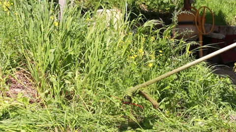 Brush cutter in action Stock Footage 22593528