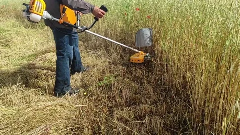 Brush cutter machine Stock Footage 164573446