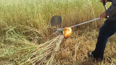 Brush cutter machine 動画素材 164574969