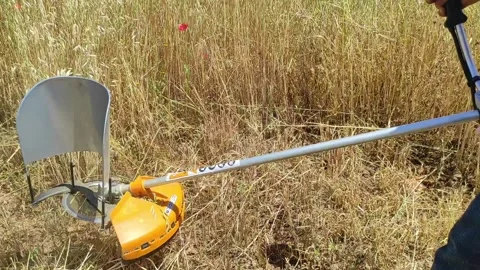 Brush cutter machine Stock Footage 164577014