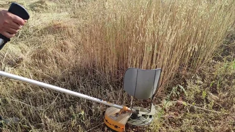 Brush cutter machine Stock Footage 164586131