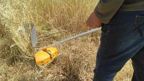 Brush cutter machine Stock Footage 165530811