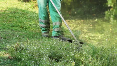Brush Cutter At Work 動画素材 148784560