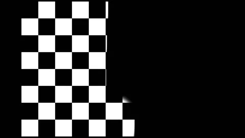 Brush draws the finish flag Stock Footage 86113217