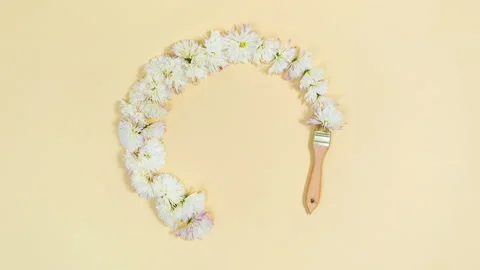 Brush draws a round frame of white flower heads with chrysanthemum.  Stock Footage 221939195