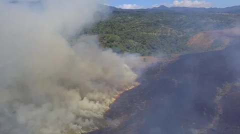 Brush Fire Aerial Panama  Stock Footage 59331852