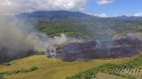 Brush Fire Aerial Panama  Stock Footage 59331911