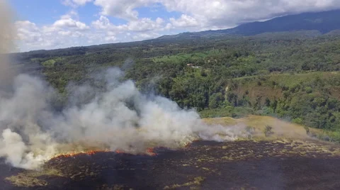 Brush Fire Aerial Panama  Video stock 59331973