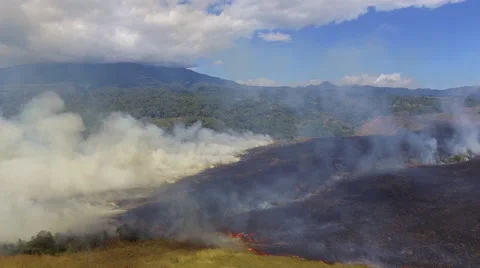 Brush Fire Aerial Panama Stock Footage 59332051