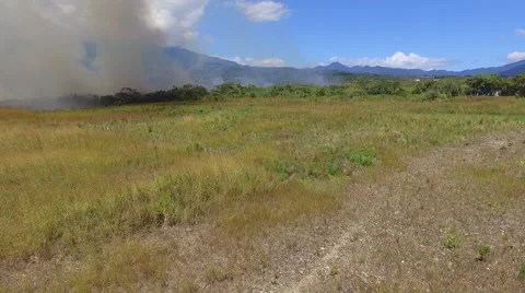 Brush Fire Aerial Panama  Stock Footage 59568652