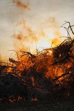Brush fire and sky Stock Photos