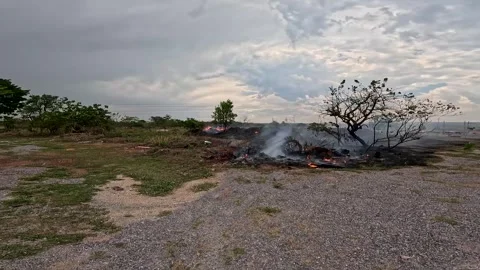Brush fire breaks out in Northwest Brasilia, Brazil Stock Footage 346850394