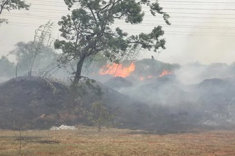 Brush fire breaks out in Northwest Brasilia, Brazil Stock Photos