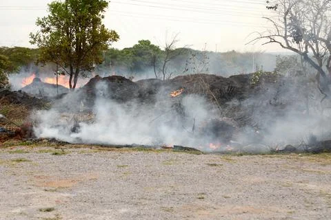 Brush fire breaks out in Northwest Brasilia Stock Photos